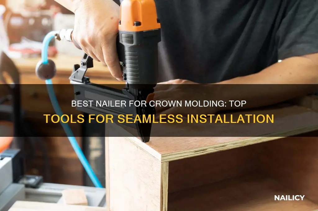 what nailer for crown molding