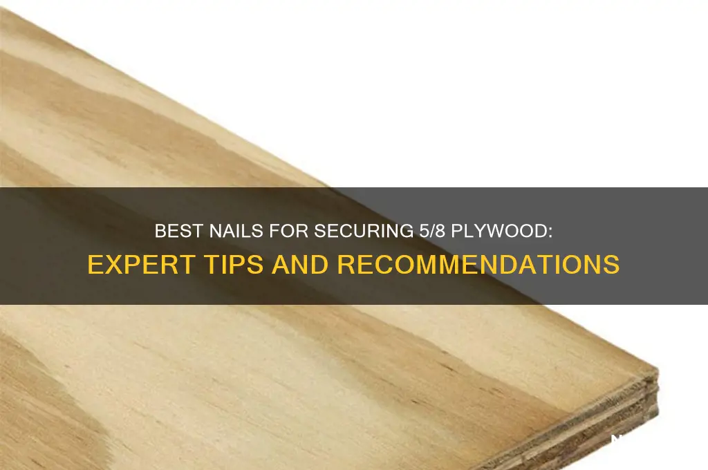 what nails 5 8 plywood