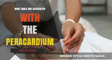 Pericardium Meridian Nails: Unveiling the Connection in Traditional Chinese Medicine