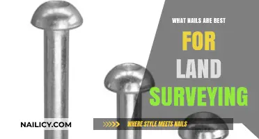Top Land Surveying Nails: Choosing the Best for Precision and Durability