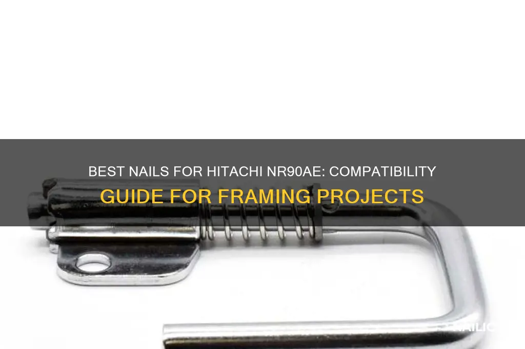 what nails are compatible with hitachi nr90ae