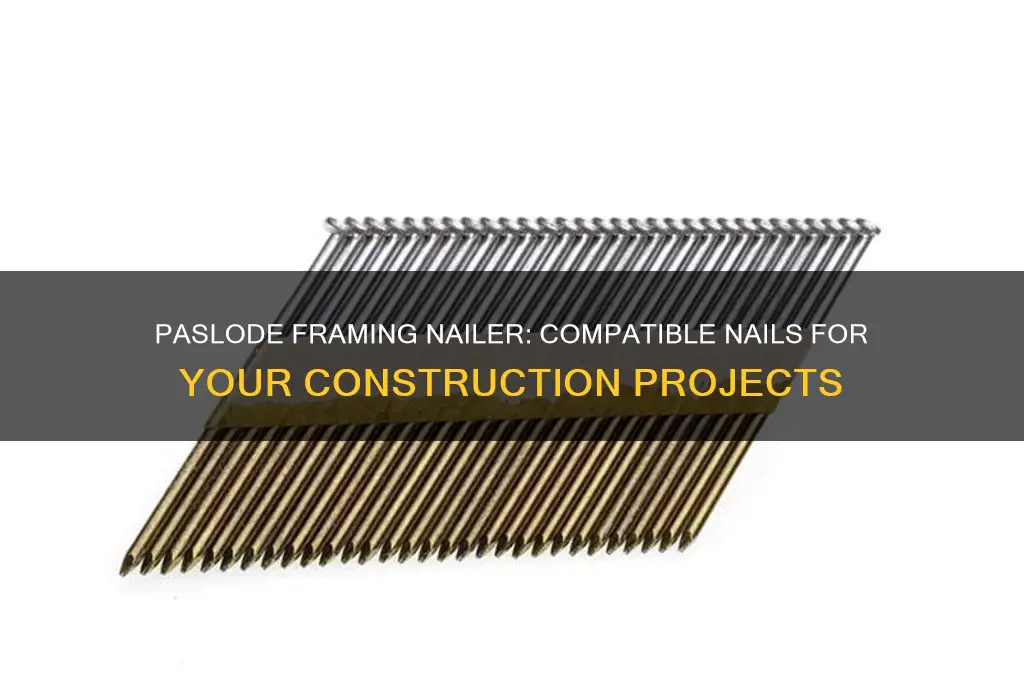 what nails are compatible with paslode framimg nailer