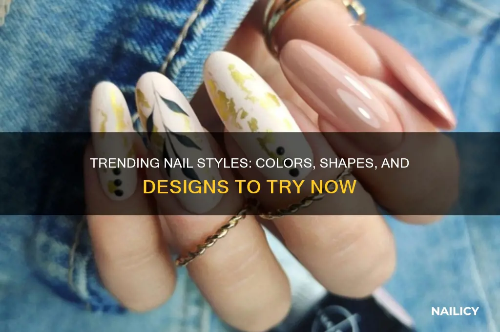 what nails are in