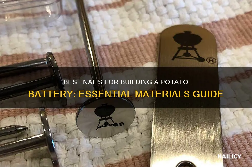 what nails do you need for potato battery