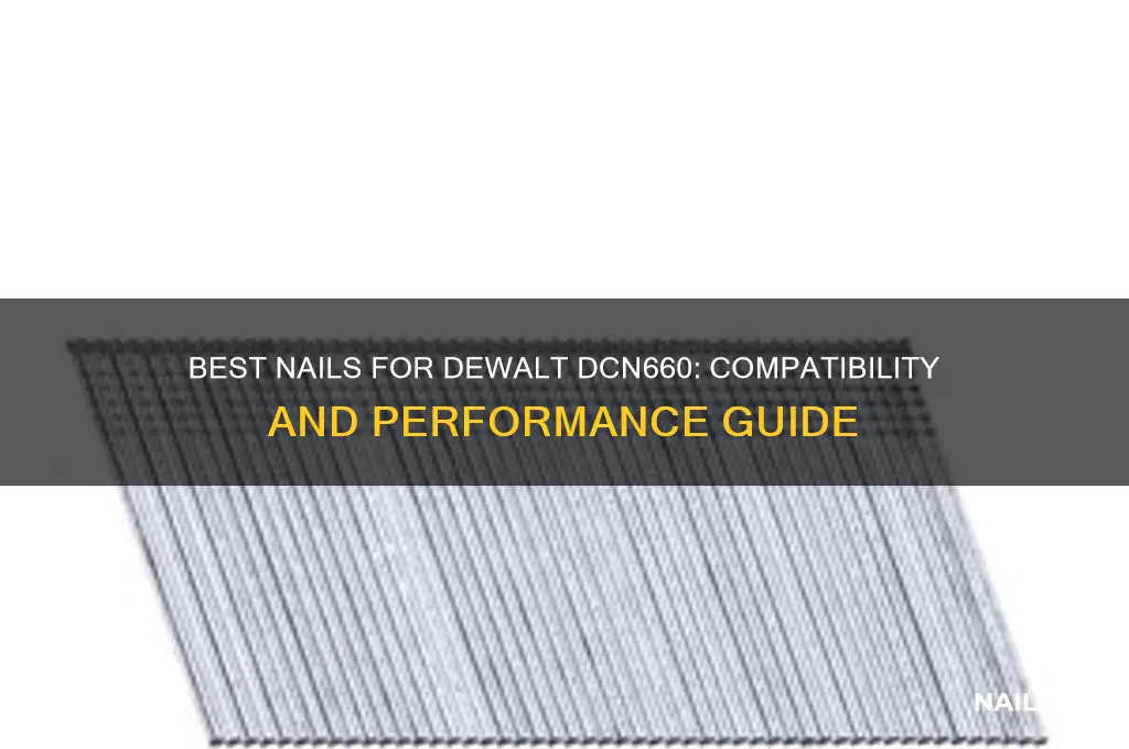 what nails fit dewalt dcn660