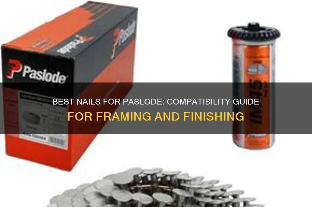 what nails fit paslode
