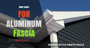 Best Nails for Aluminum Fascia: Types, Sizes, and Installation Tips
