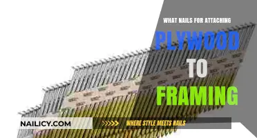 Best Nails for Securing Plywood to Framing: A Comprehensive Guide
