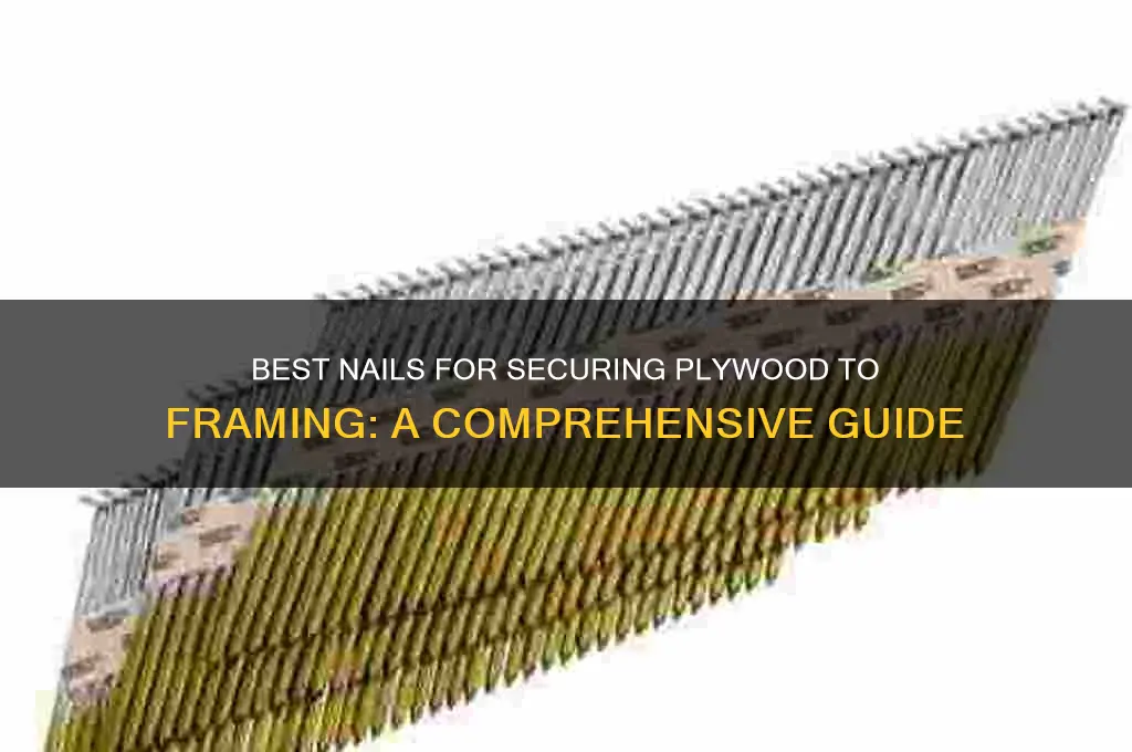 what nails for attaching plywood to framing