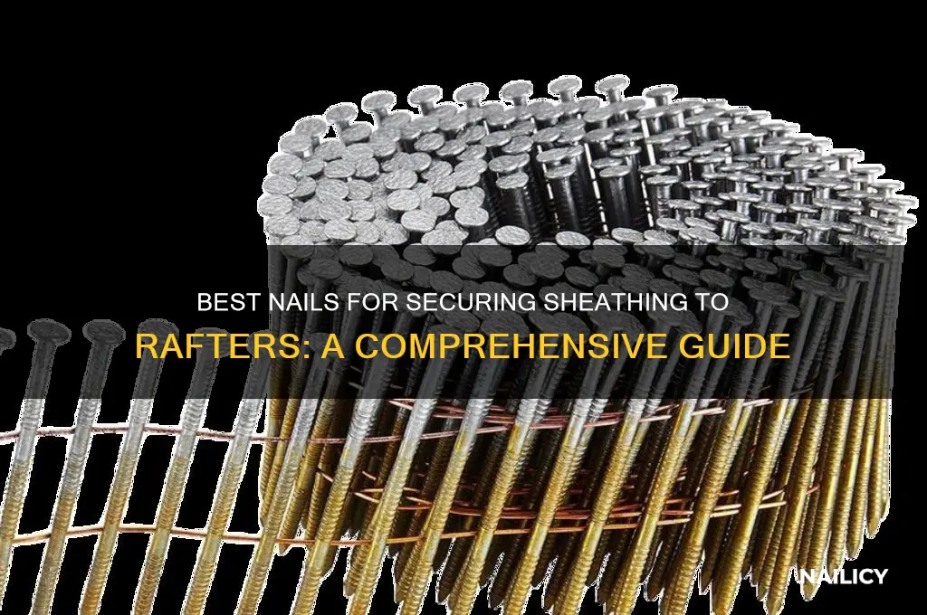 what nails for attaching sheathing to rafters