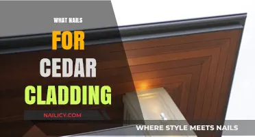 Best Nails for Cedar Cladding: Types, Sizes, and Installation Tips