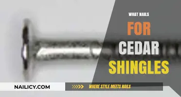 Choosing the Right Nails for Cedar Shingles: A Comprehensive Guide