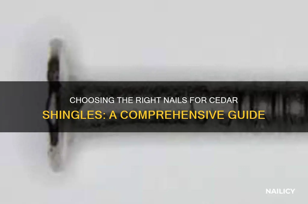 what nails for cedar shingles