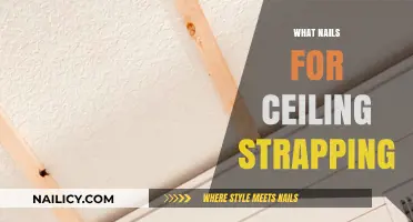 Best Nails for Ceiling Strapping: A Comprehensive Guide to Choosing Right