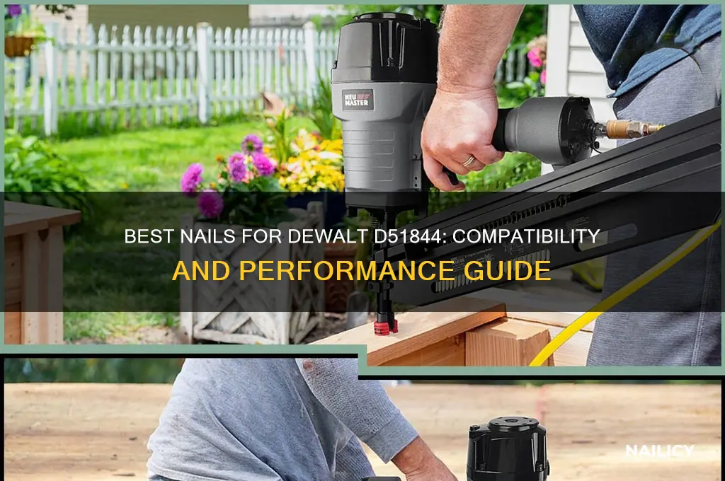 what nails for dewalt d51844