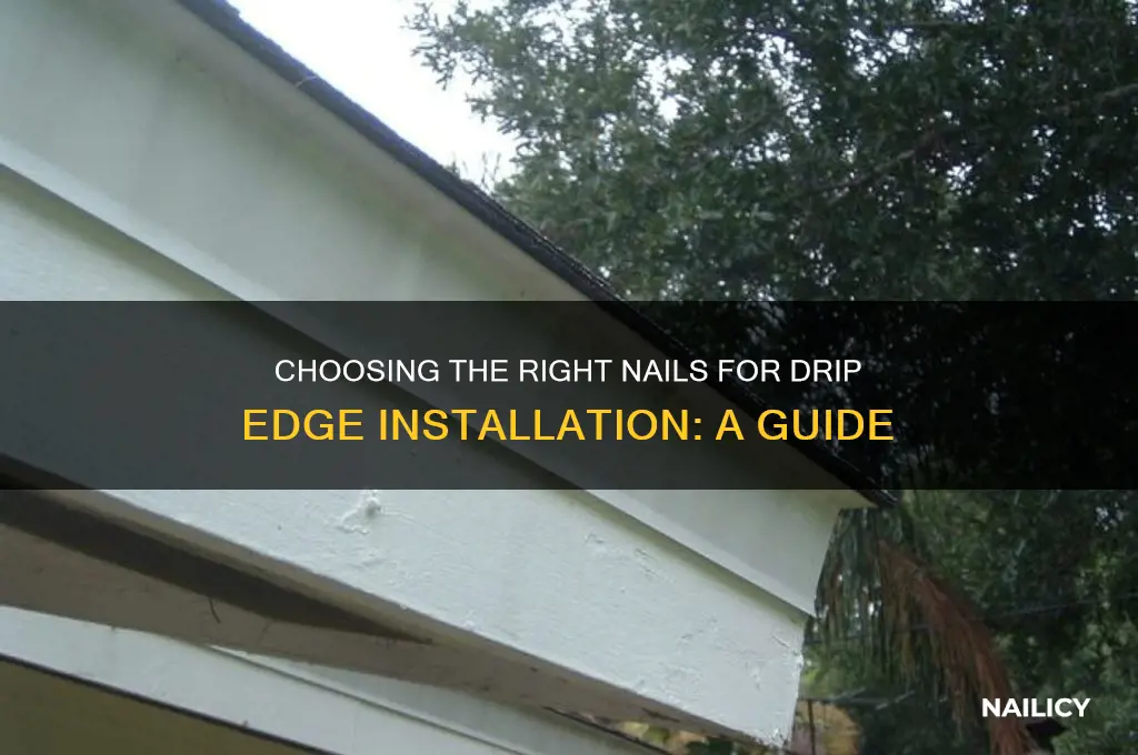what nails for drip edge