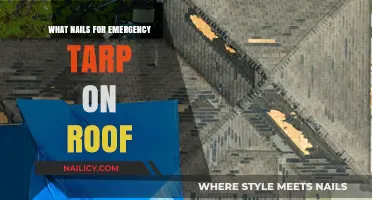 Best Nails for Emergency Tarp Roof Repairs: Quick and Secure Solutions