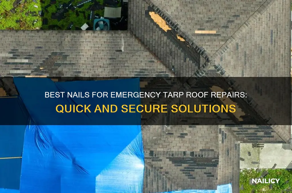 what nails for emergency tarp on roof