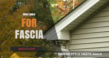 Best Nails for Fascia Installation: A Comprehensive Guide for Homeowners