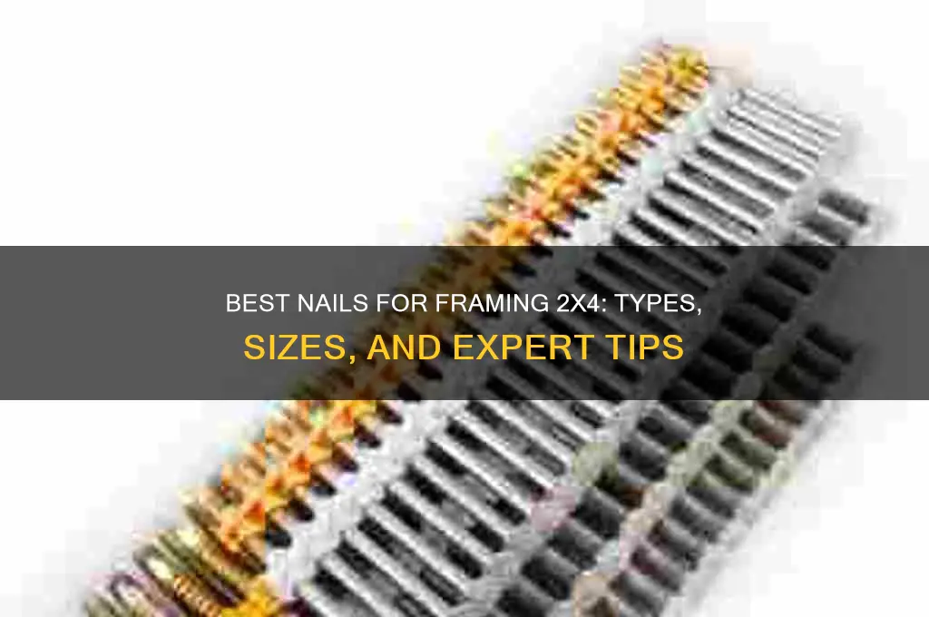 what nails for framing 2x4