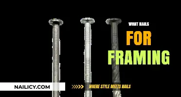 Best Nails for Framing: Types, Sizes, and Expert Recommendations