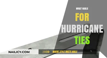 Best Nails for Hurricane Ties: Securing Your Roof Safely and Effectively