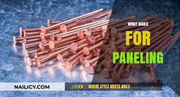 Best Nails for Paneling: Types, Sizes, and Installation Tips