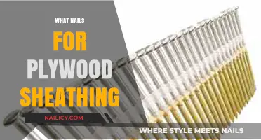 Best Nails for Plywood Sheathing: Types, Sizes, and Installation Tips