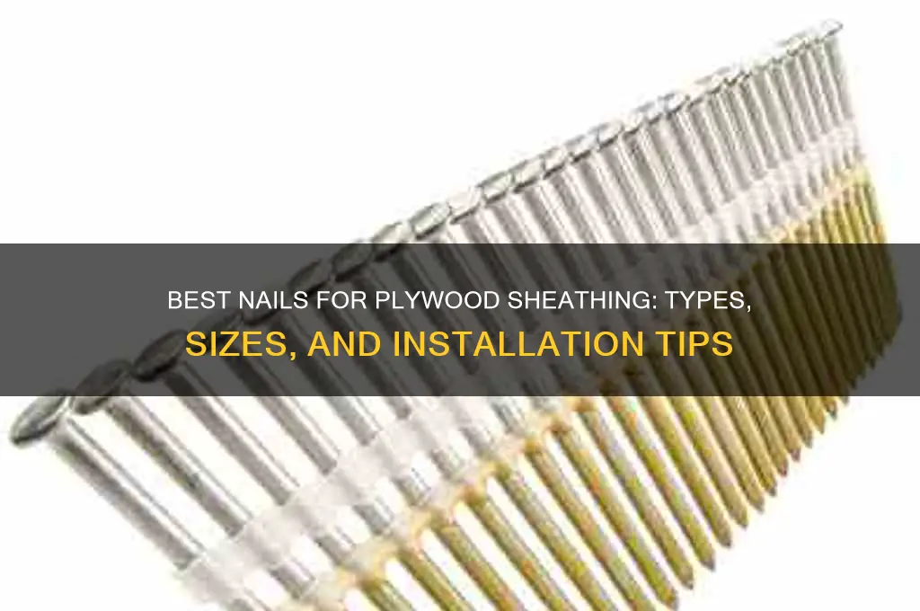 what nails for plywood sheathing
