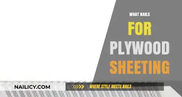 Best Nails for Plywood Sheeting: Types, Sizes, and Expert Tips