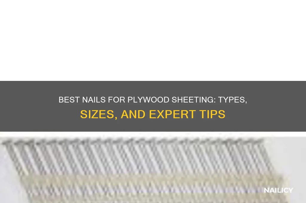 what nails for plywood sheeting