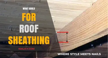 Best Nails for Roof Sheathing: Types, Sizes, and Installation Tips