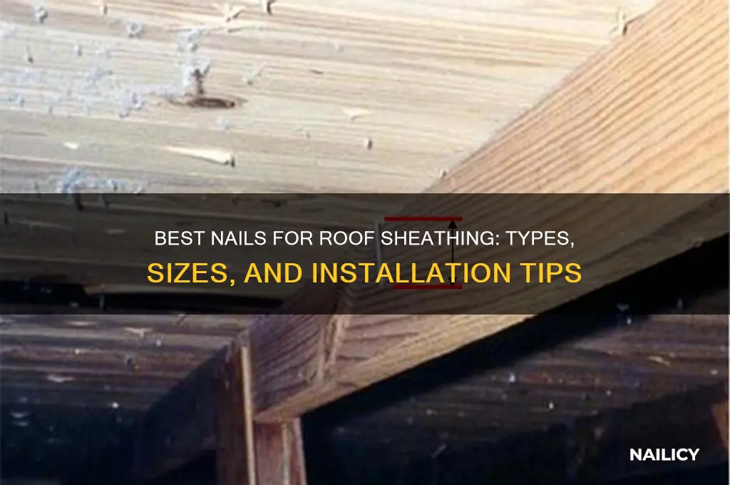 what nails for roof sheathing