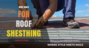 Choosing the Right Nails for Your Roof Sheathing: A Comprehensive Guide