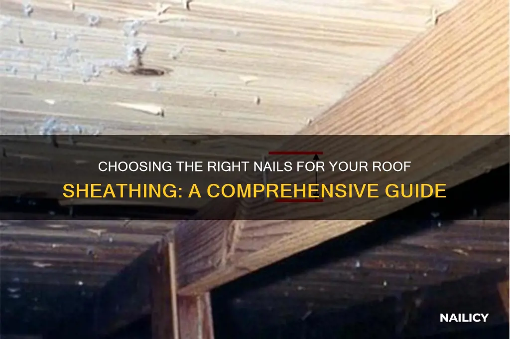 what nails for roof shesthing