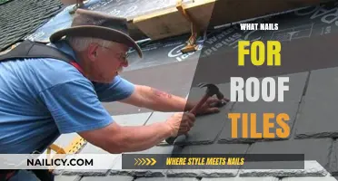 Choosing the Right Nails for Secure and Durable Roof Tile Installation