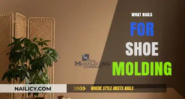 Choosing the Right Nails for Shoe Molding Installation: A Guide