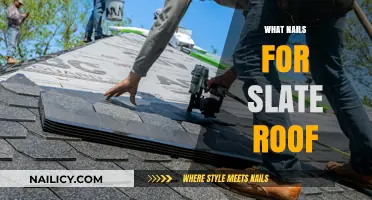 Choosing the Right Nails for Slate Roof Installation and Repair