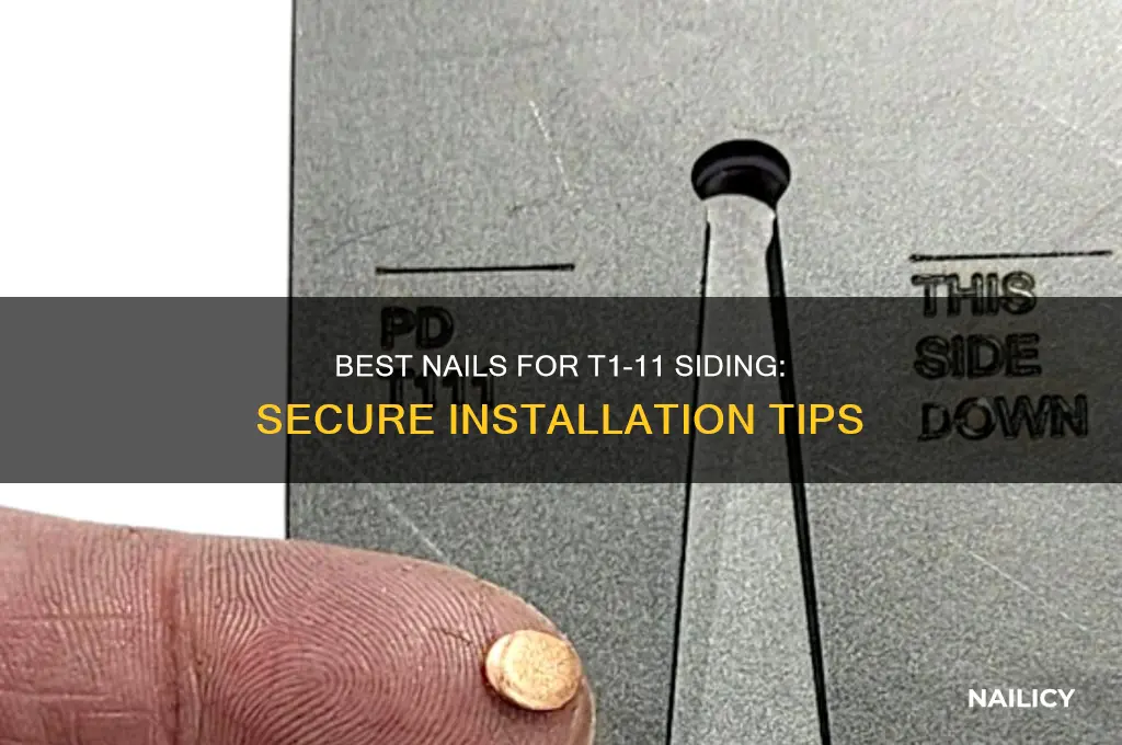 what nails for t1-11
