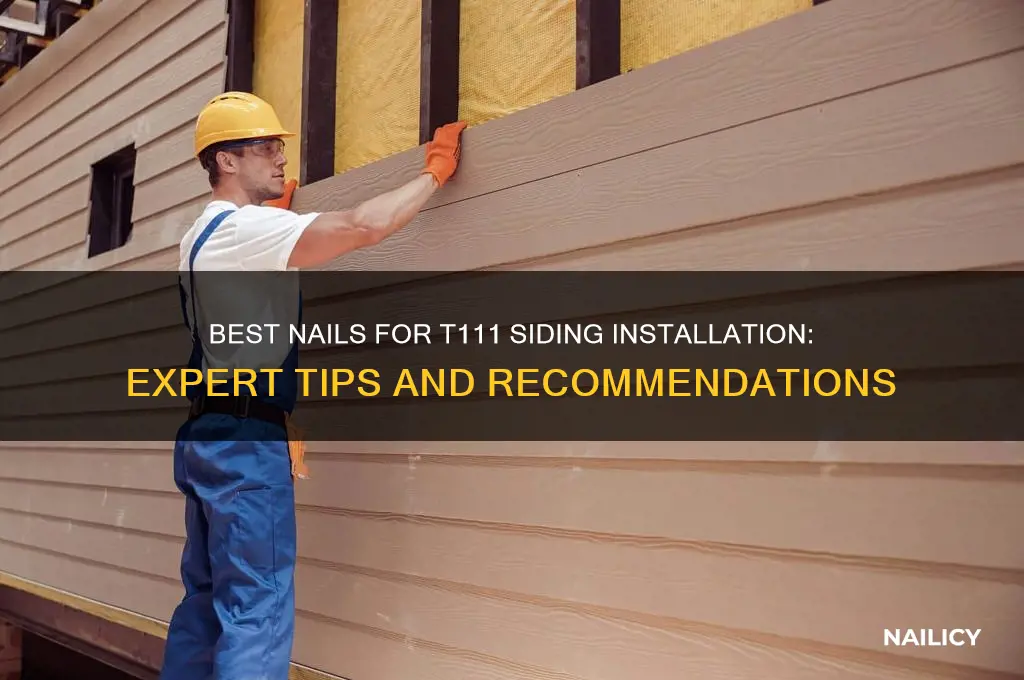 what nails for t111 siding
