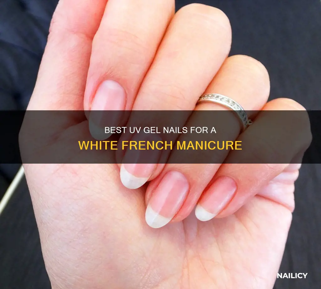 what nails supply sale brand uv gel white frenh manicure
