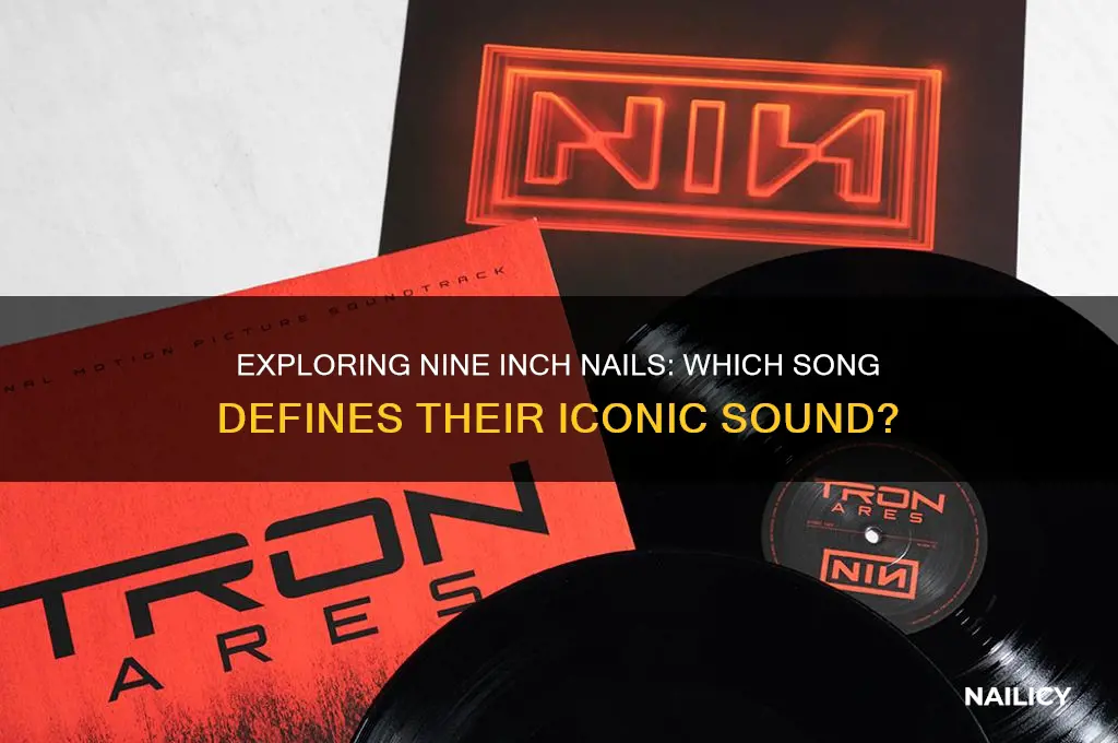 what nine inch nails song
