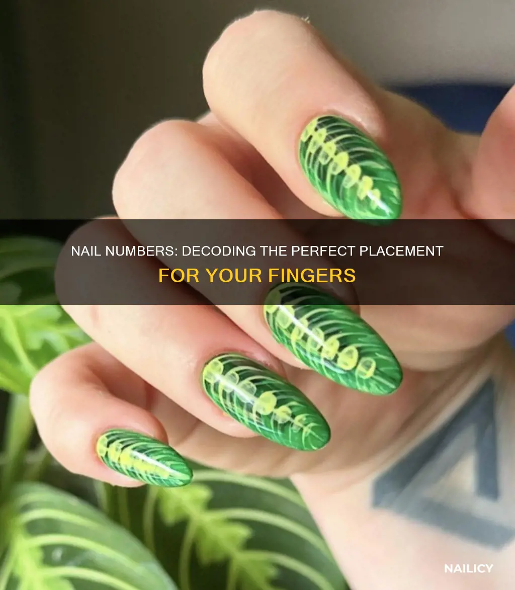 what numbers on fake nails goes to which finger