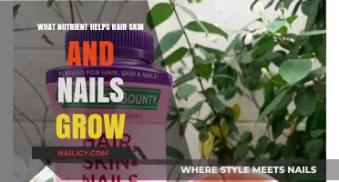 Nutrients for Hair, Skin, Nails: What's the Secret?
