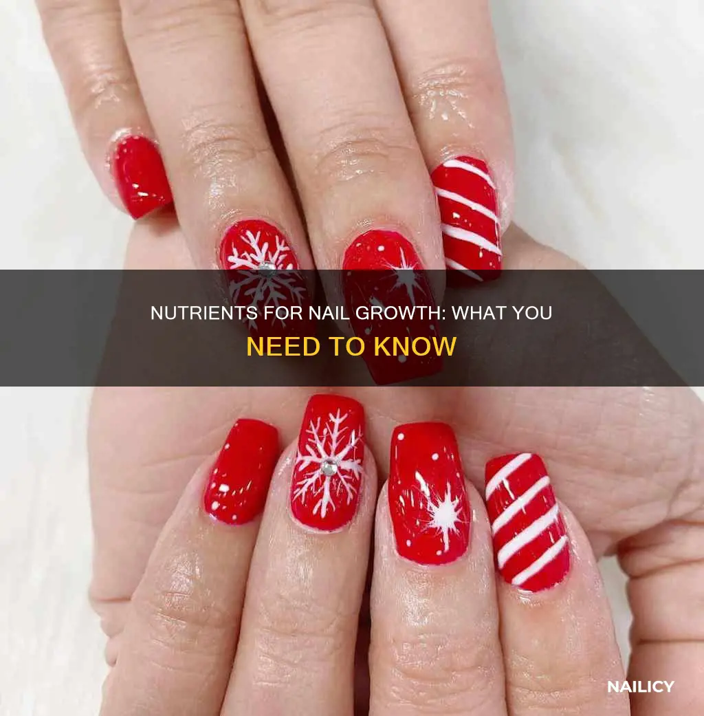 what nutrients help nails grow