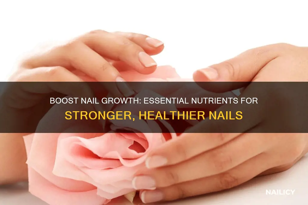 what nutrients increase nail growth