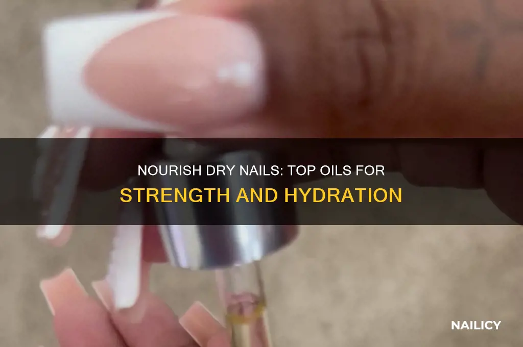 what oil is best for dry nails