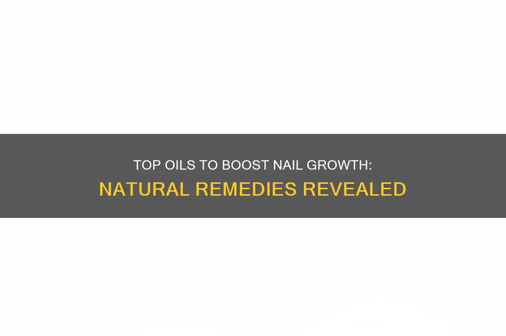 what oil is best for nail growth