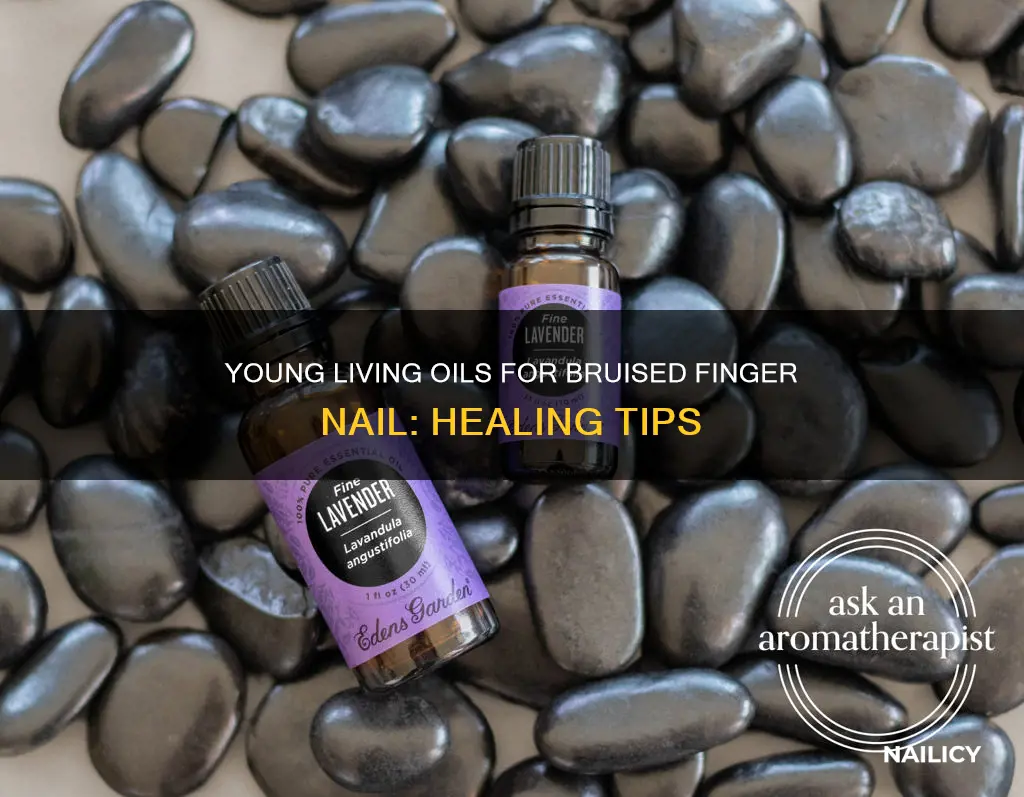 what oils for bruised finger nail that is young living