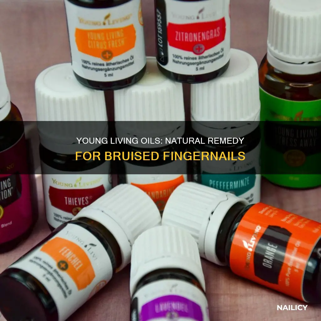 what oils for bruised finger nail that is young living